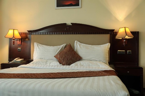 Debredamo Hotel image 44