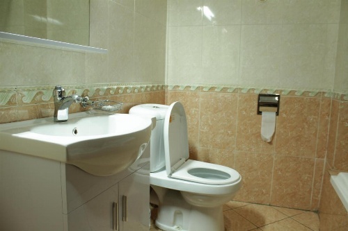 Debredamo Hotel image 6
