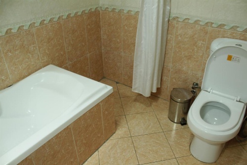 Debredamo Hotel image 9